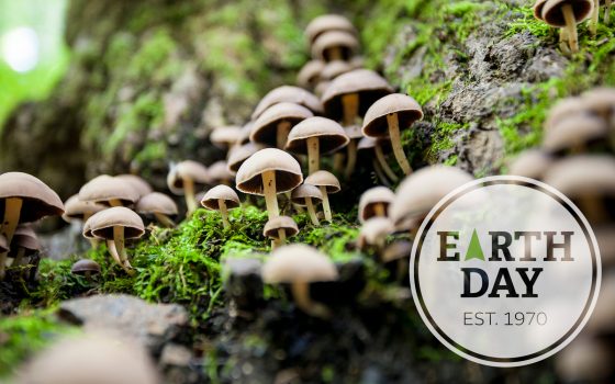 Earth Day badge over field of mushrooms on forest floor