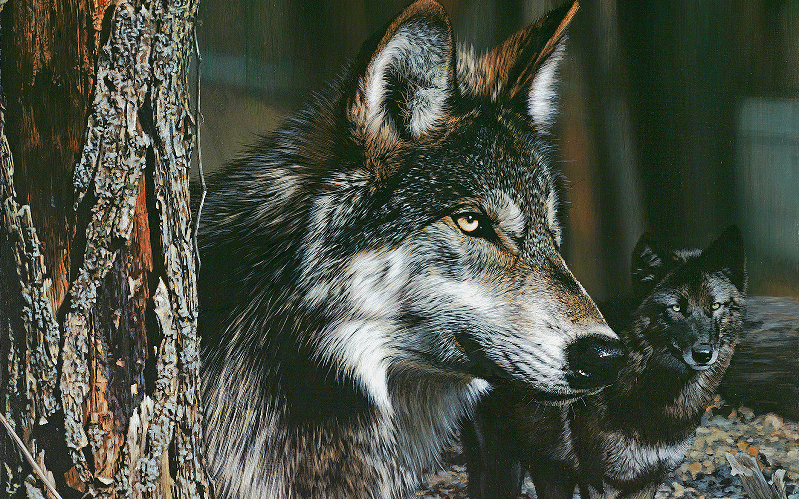 Wolf Awareness Week Poster - Northland College