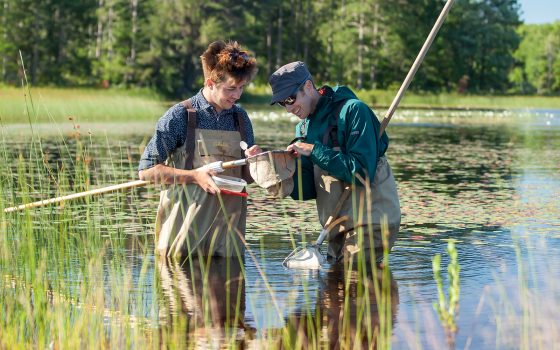 Student and professor in wetland