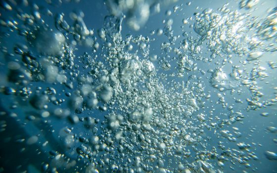 Bubbles