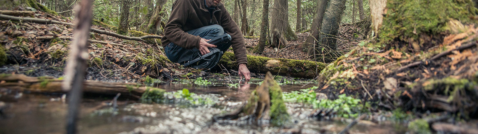 Northland College staff working in stream