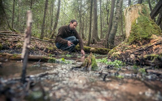 Northland College staff working in stream