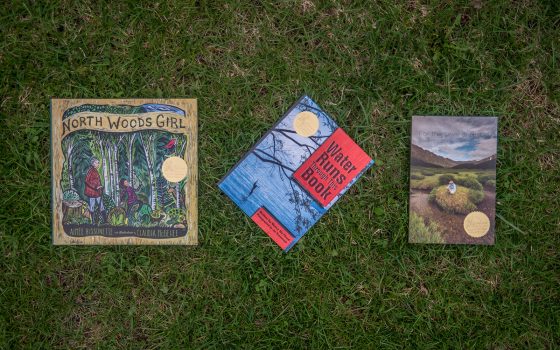 Winning books in grass