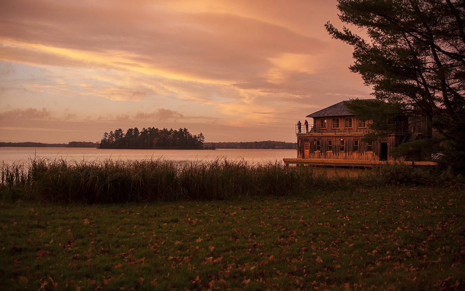 Sunset at Forest Lodge