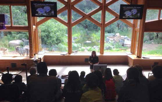 Northland student presenting on wolves at International Wolf Center