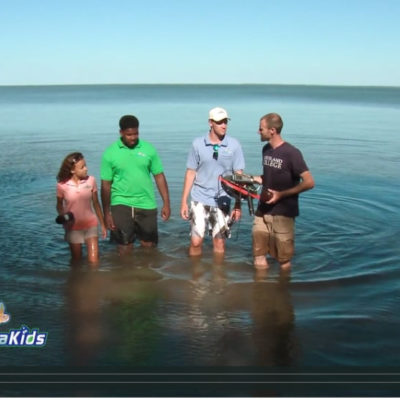 Four people standing in the water with research equipment