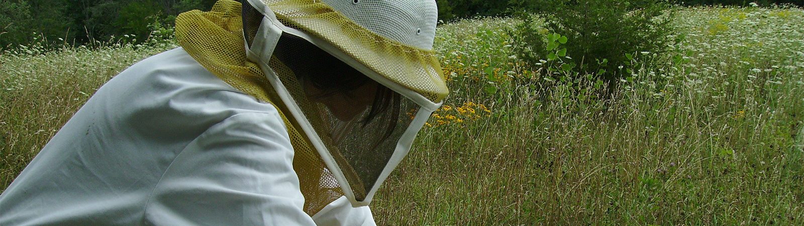 Heather Swan in Beesuit