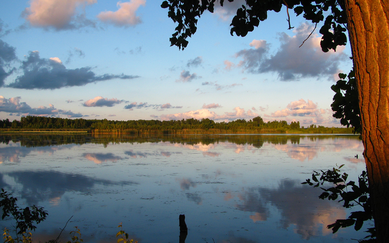 Pelee Island Northland College