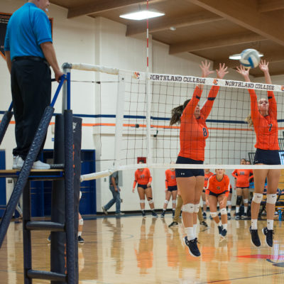 Volleyball players