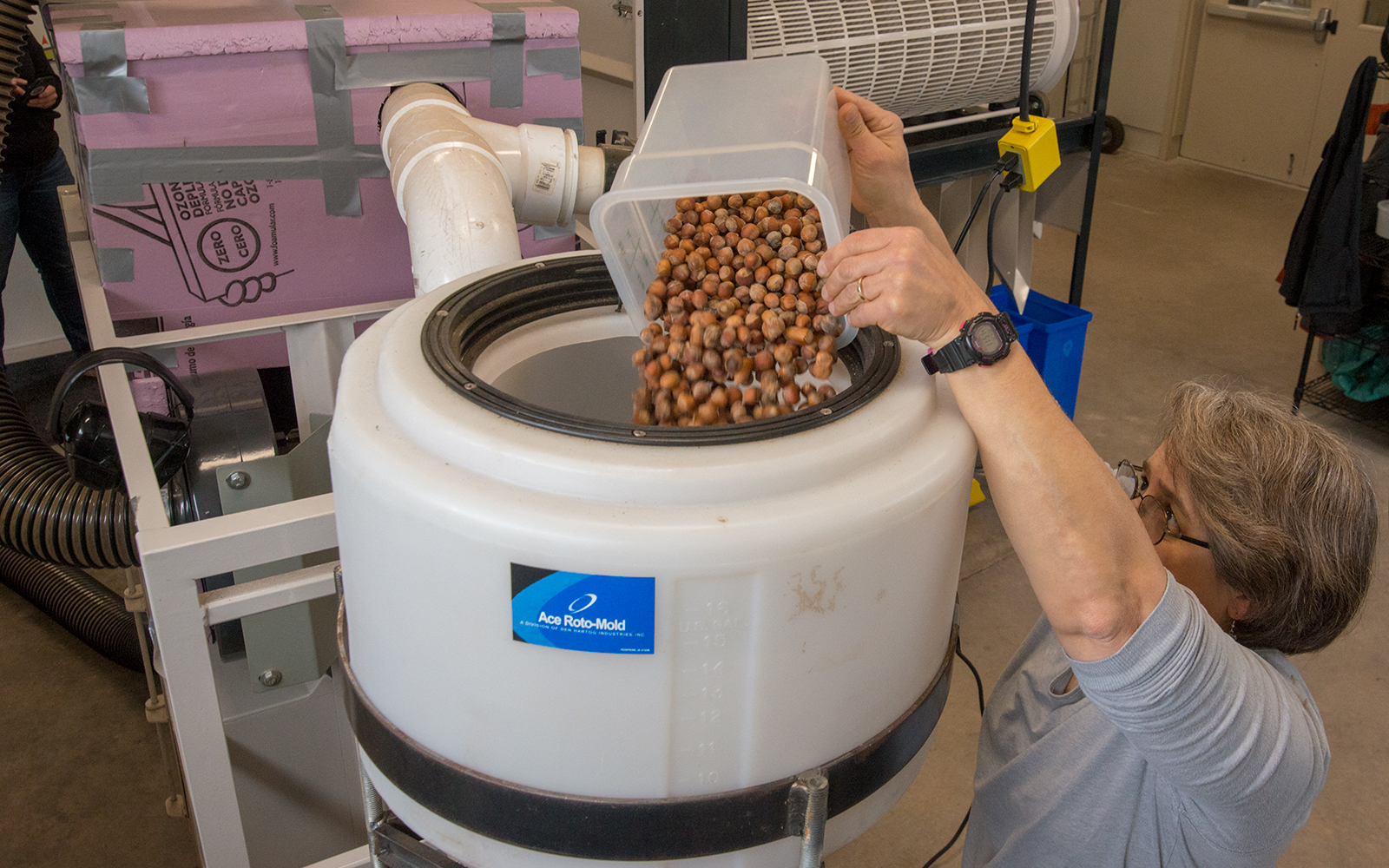 Wisconsin, Upper Midwest Look To Crack Into Commercial Hazelnut