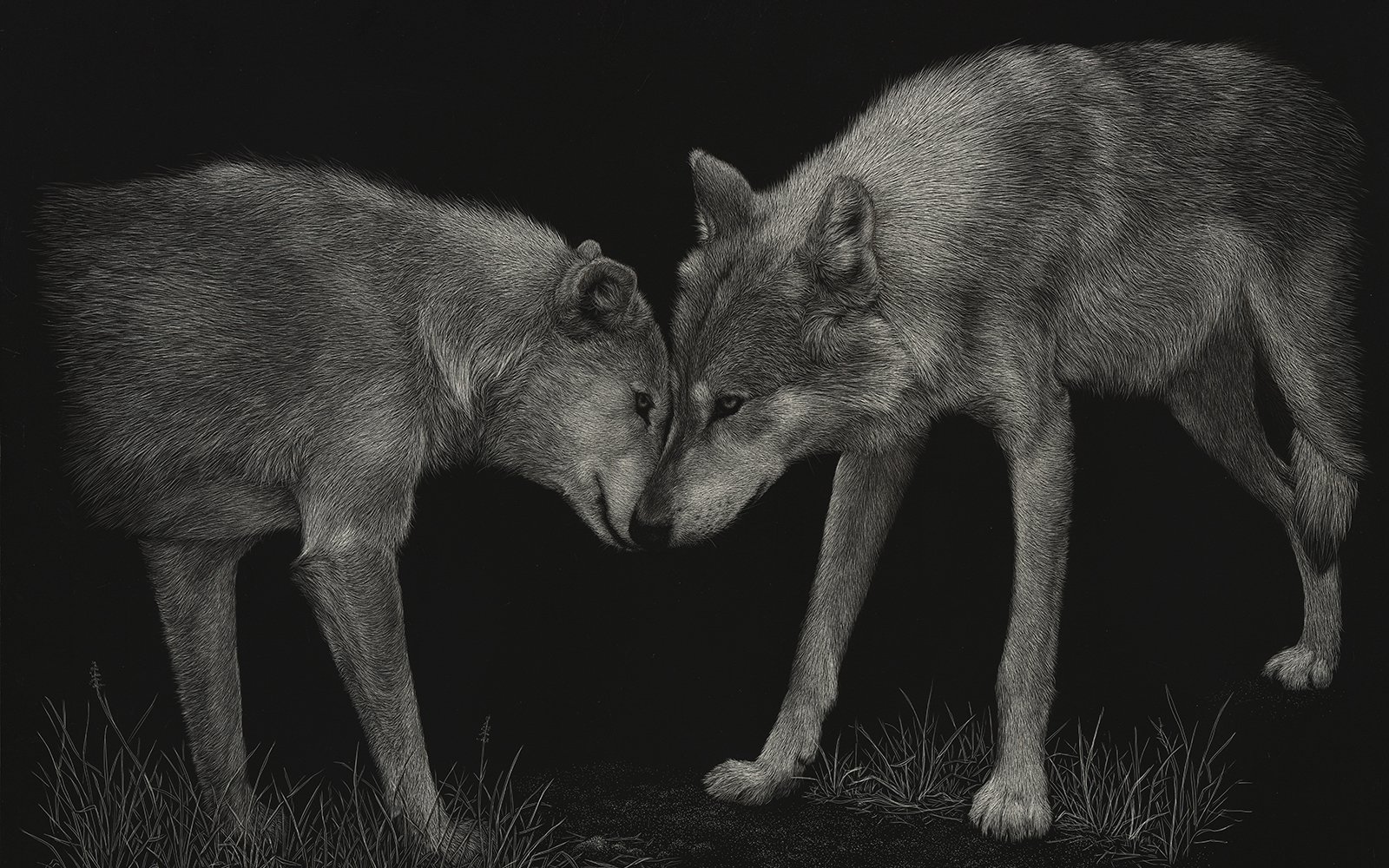 Twa Selects 2019 Wolf Awareness Poster Art Northland College