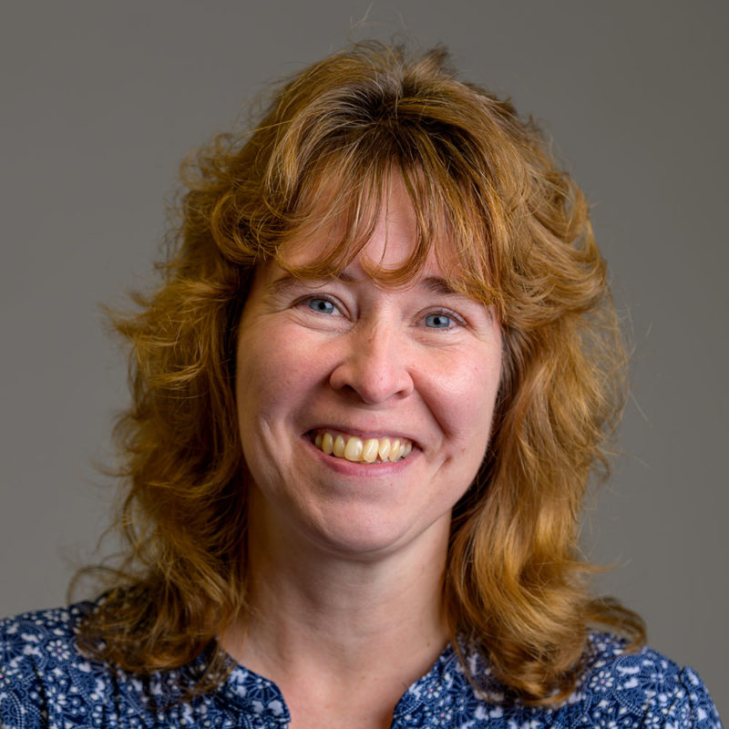 JoAnne Honkala headshot