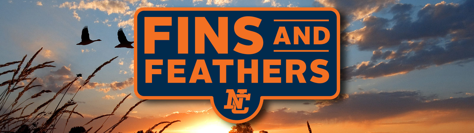 Fins and Feathers Fundraiser