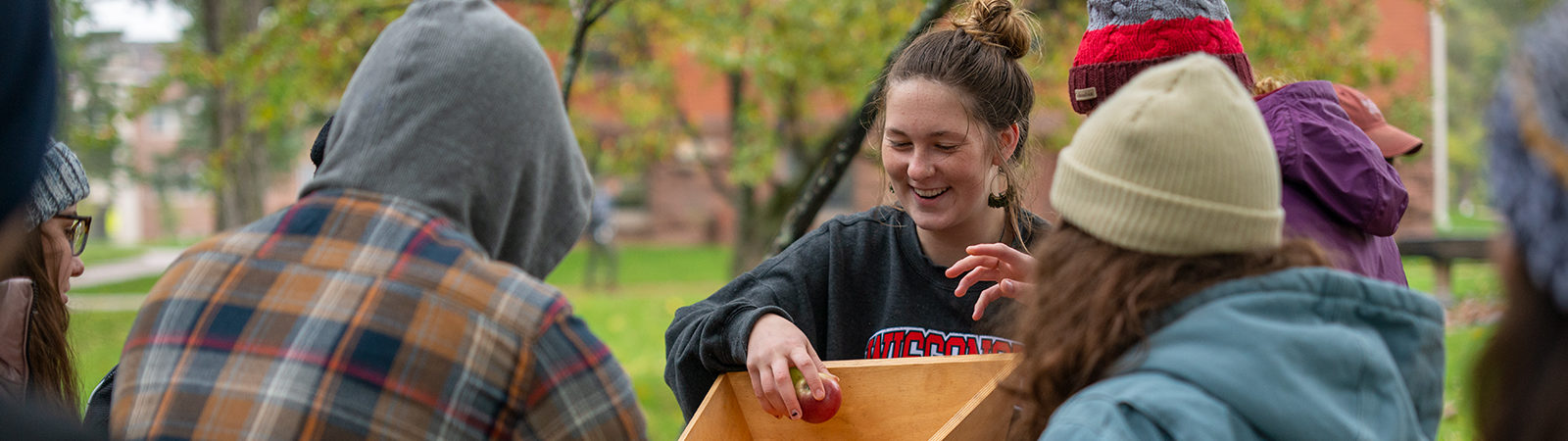 Apple pressing