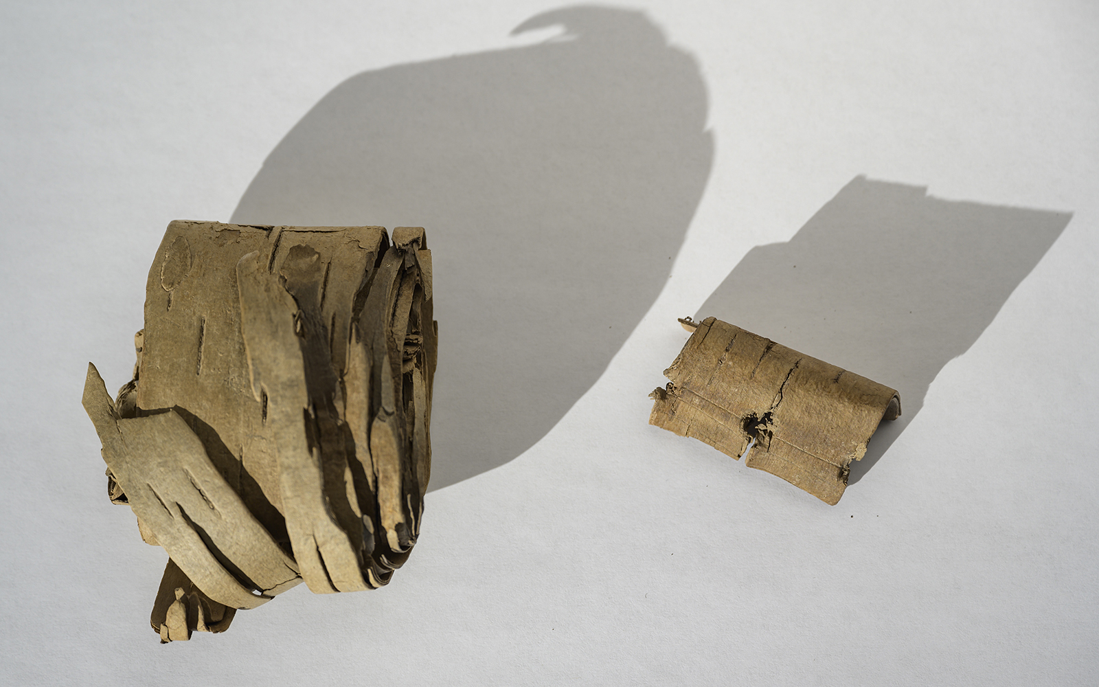 Birch bark