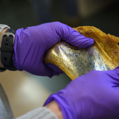 Northland College Professor Nick Robertson stretches an elastomer he and students developed. 