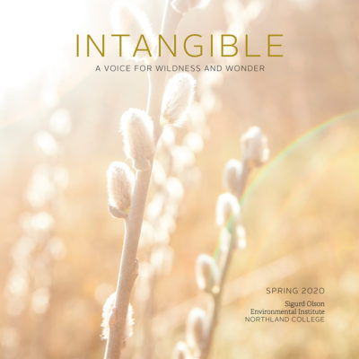 Cover of Intangible magazine