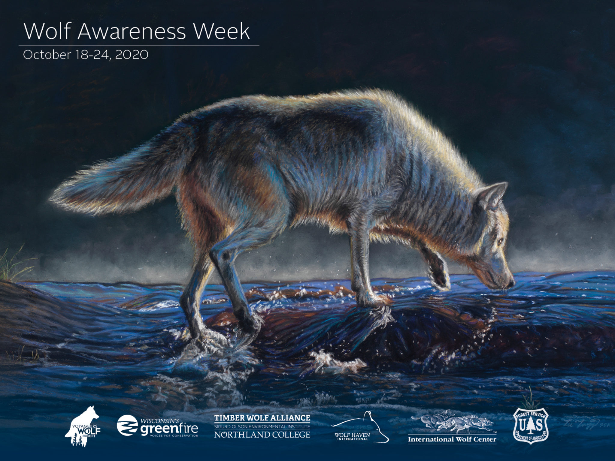 Wolf Awareness Week & Poster Northland College