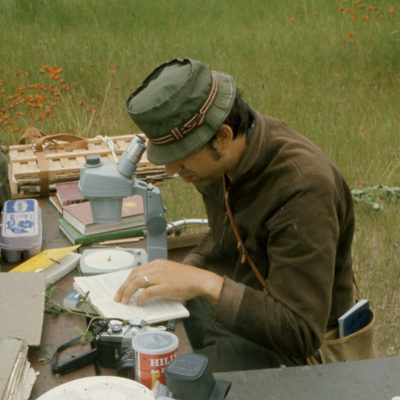 Professor Dick Verch recorded plant taxonomy samples on Stockton Island in the early 1970s.