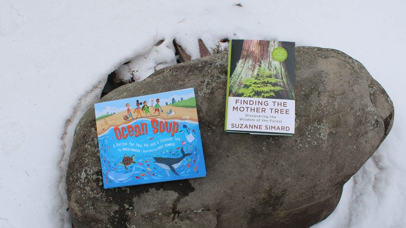 2021 SONWA recipients Ocean Soup (written by Meeg Pincus and illustrated by Lucy Semple) and Finding the Mother Tree (written by Suzanne Simard)