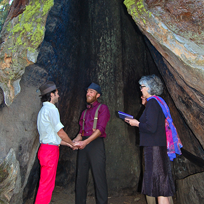 Alumni Alex Johnson ’08 and Peter Mueller ’06 at their wedding inside a giant tree