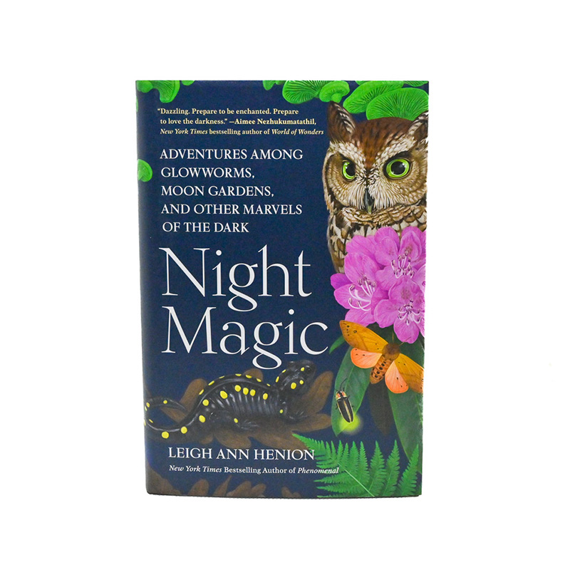 Night Magic by Leigh Ann Henion