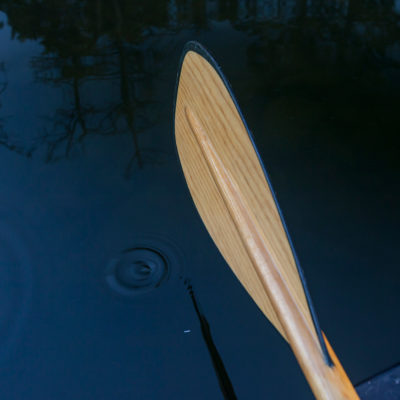 Paddle in water